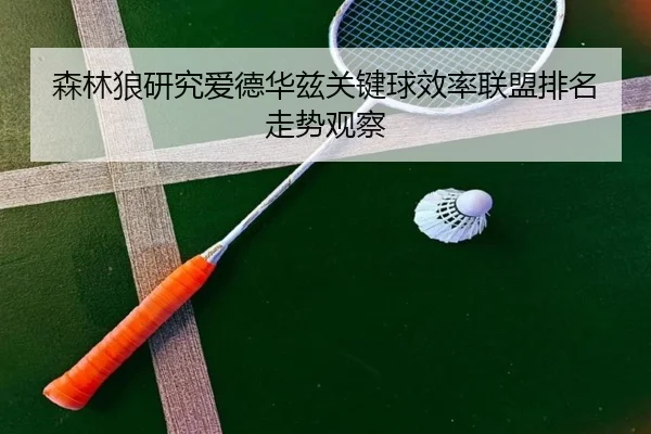 森林狼研究爱德华兹关键球效率联盟排名走势观察